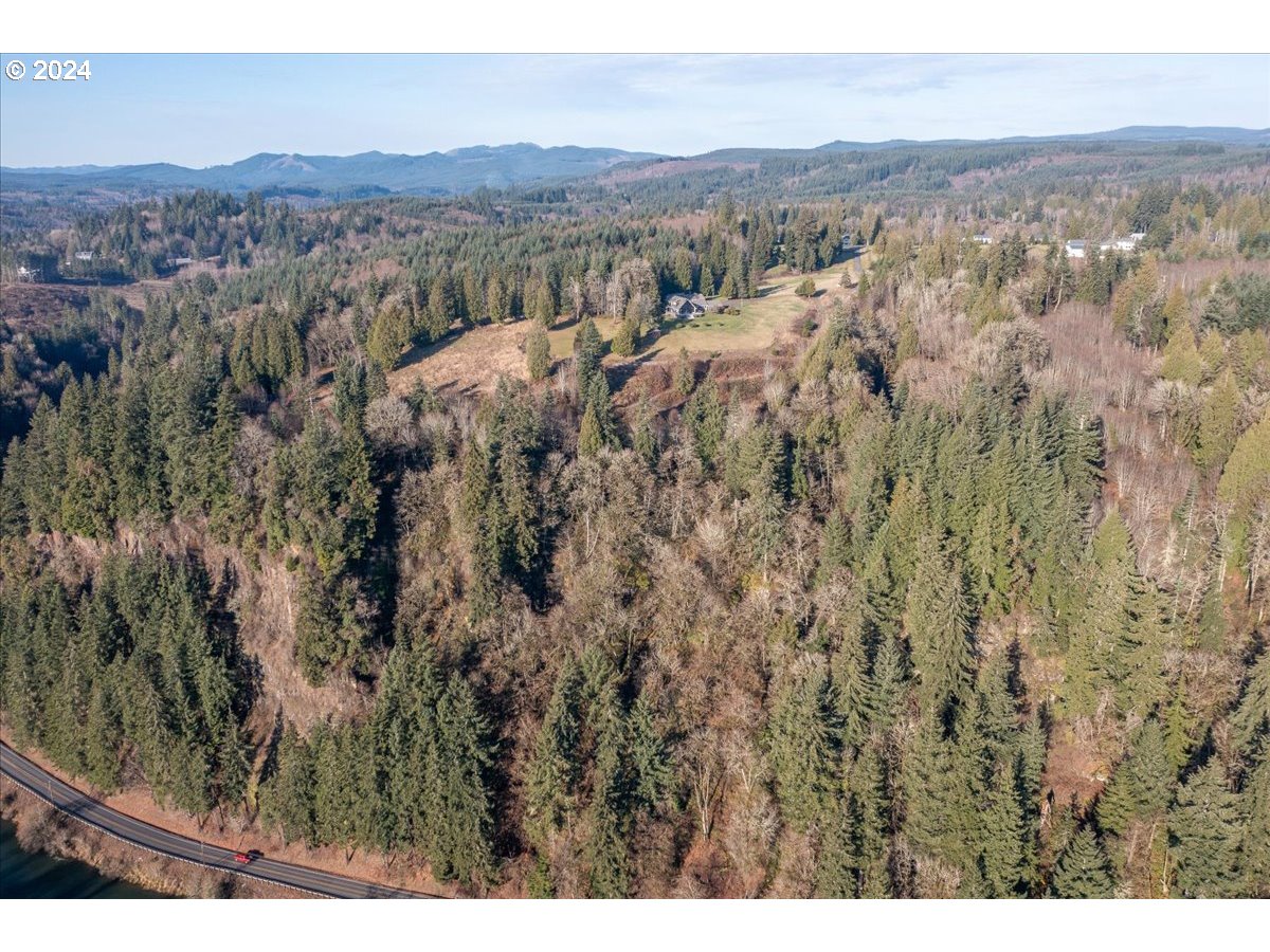 145 Newt Estates Road Longview, WA 98632 - Photo 8 of 27