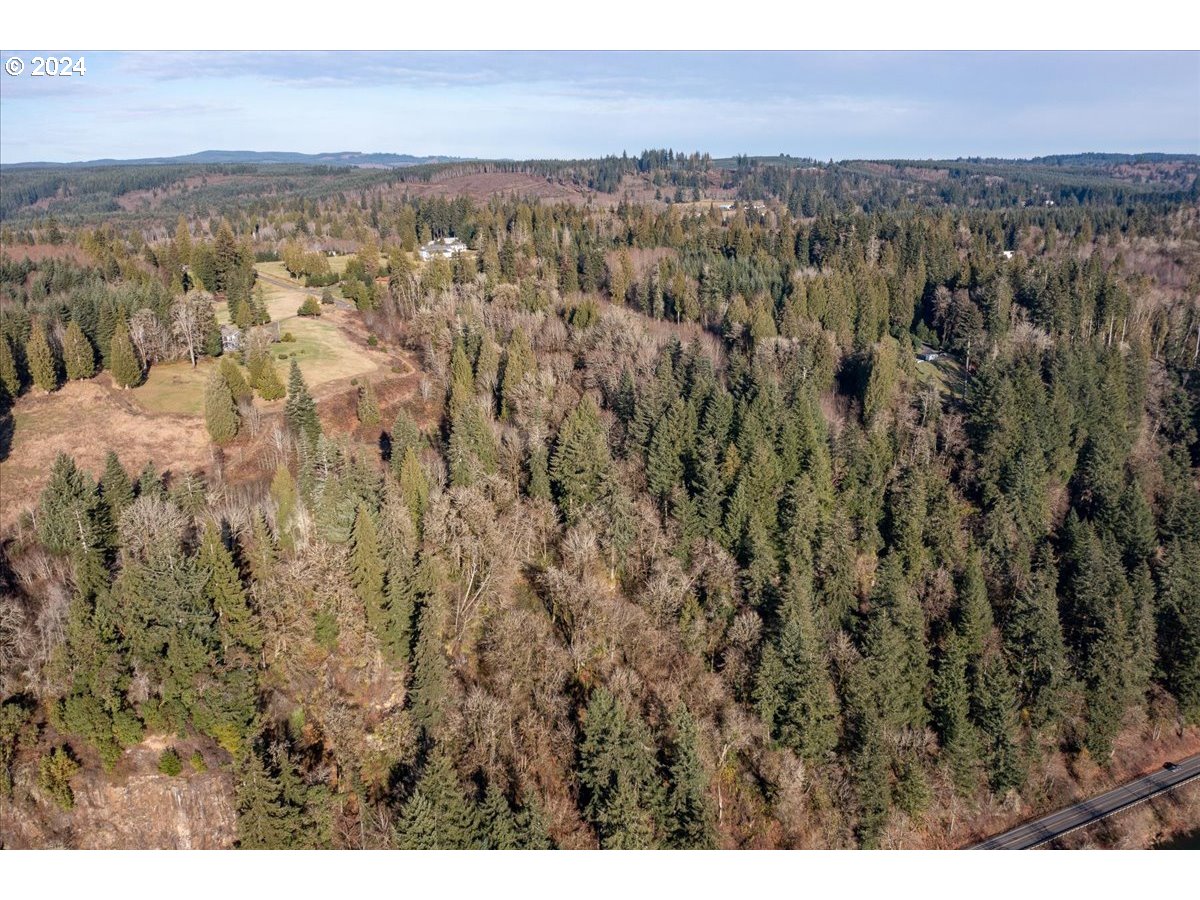 145 Newt Estates Road Longview, WA 98632 - Photo 9 of 27