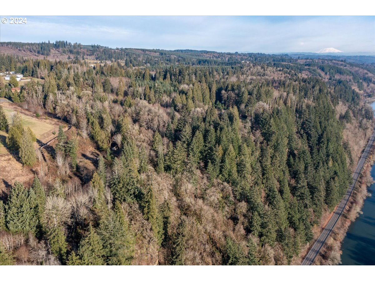 145 Newt Estates Road Longview, WA 98632 - Photo 10 of 27