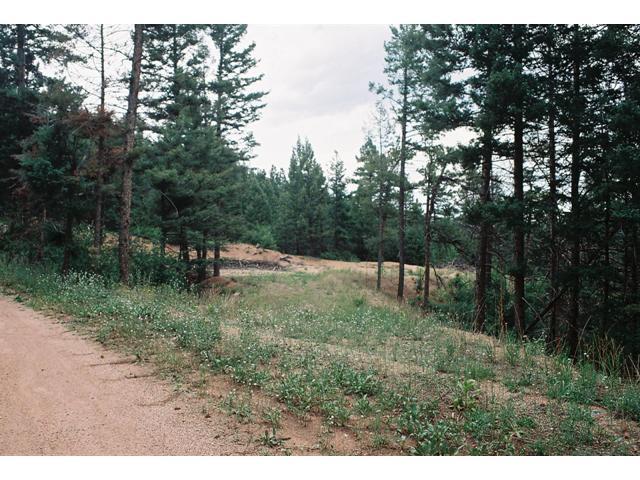 3731 Hidden Valley Road Sedalia, CO 80135 - Photo 1 of 1 Gallery Image 1