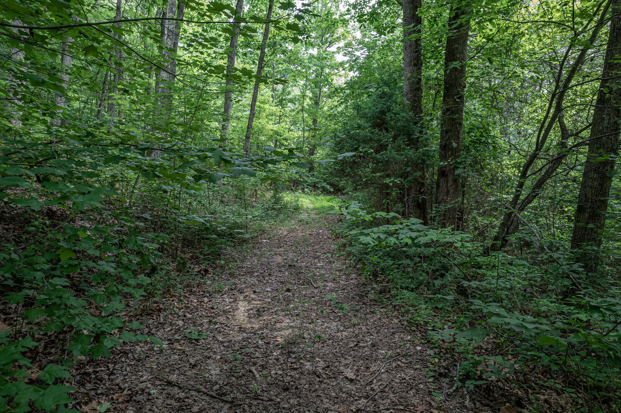 55 County Road 179 Decatur, TN 37322 - Photo 11 of 12 Gallery Image 11