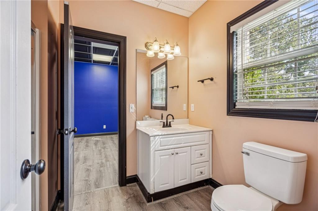 181 Granny Smith Circle Clarkesville, GA 30523 - Photo 62 of 79 a bathroom with a toilet a sink and mirror