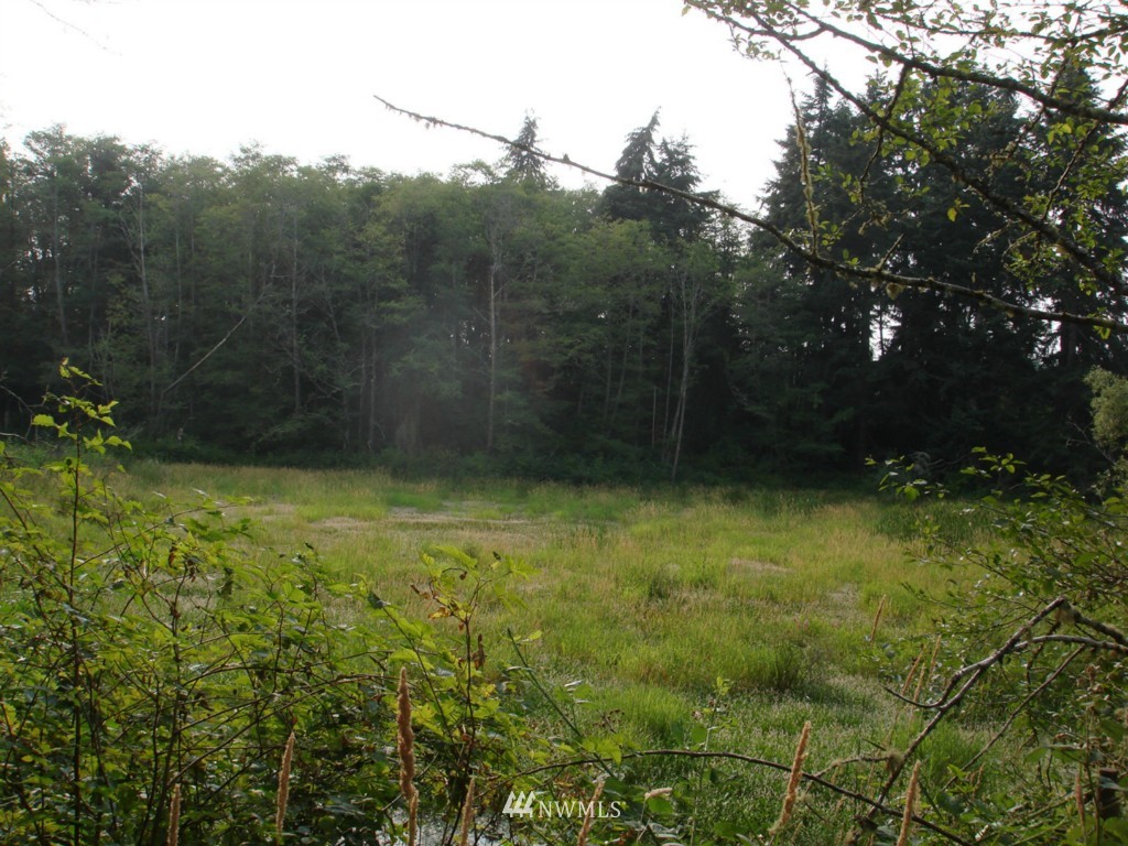 4029 Frogwater Road Clinton, WA 98236 - Photo 11 of 15 Gallery Image 11