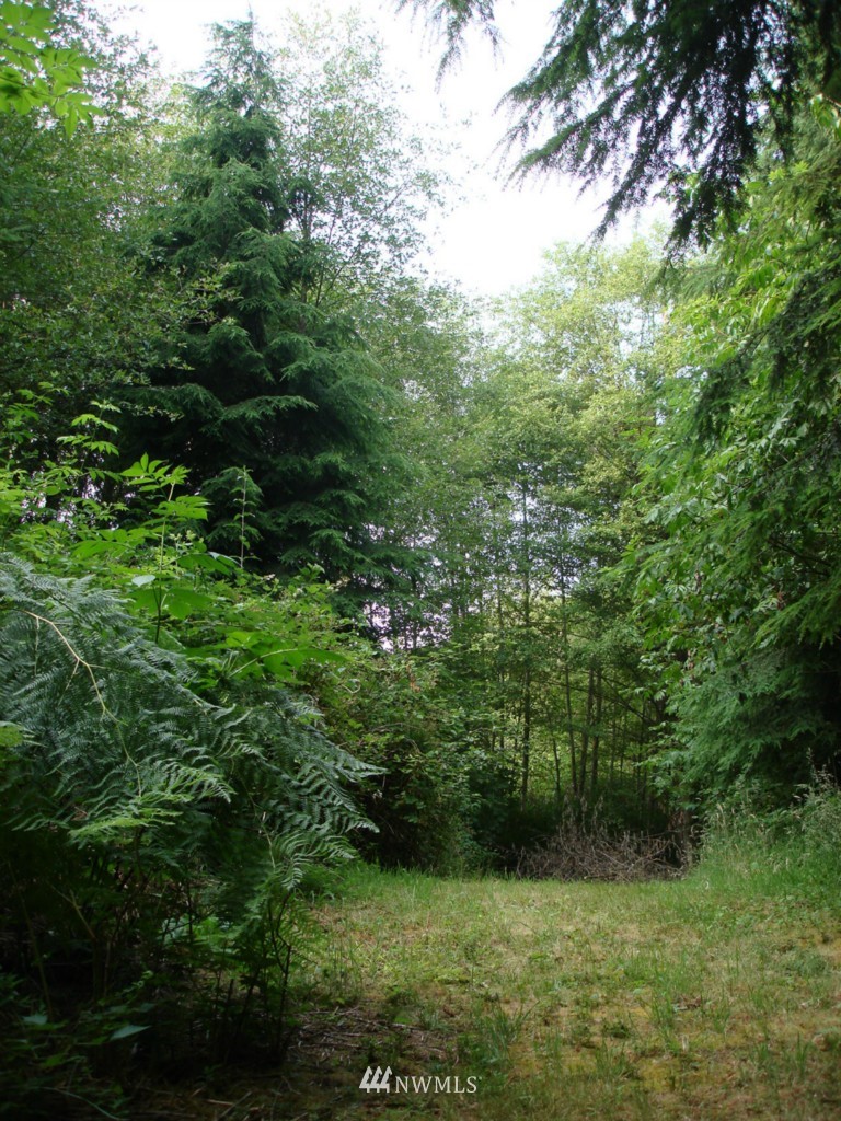 4029 Frogwater Road Clinton, WA 98236 - Photo 4 of 15 Gallery Image 4