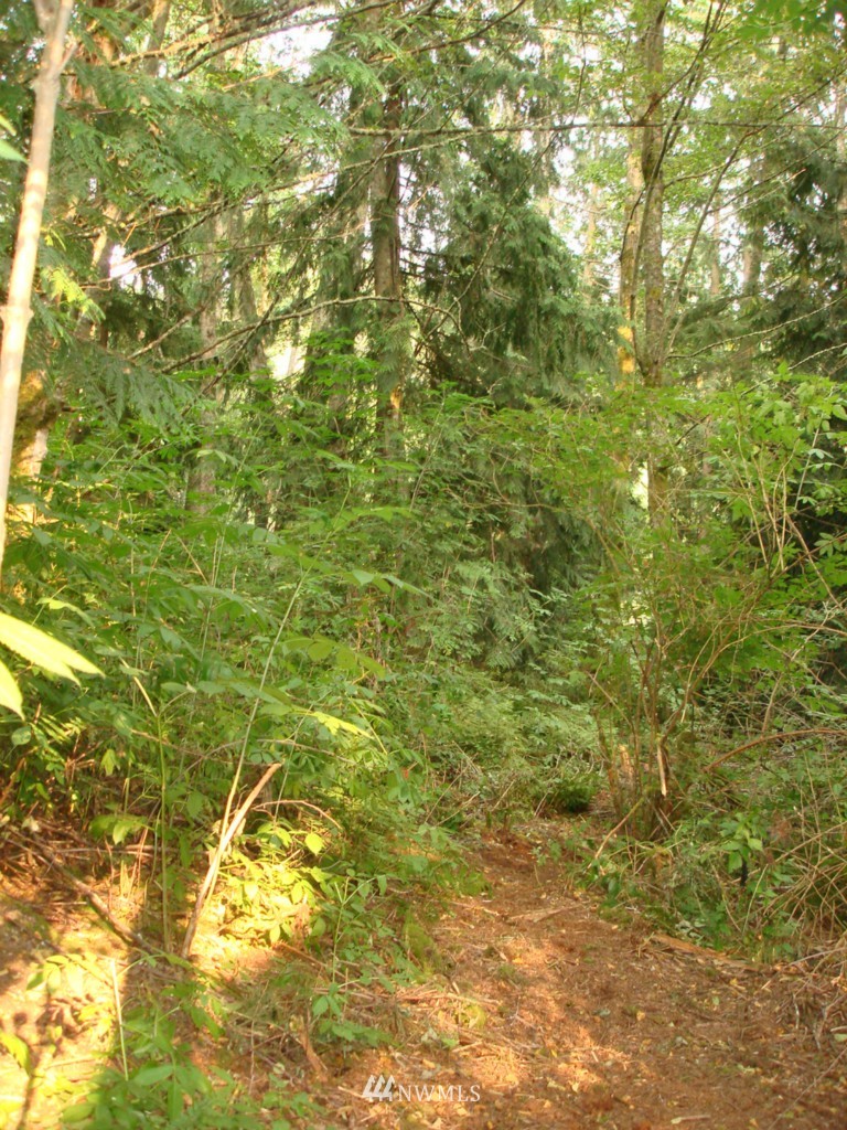 4029 Frogwater Road Clinton, WA 98236 - Photo 7 of 15 Gallery Image 7