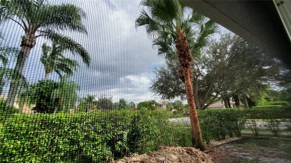 a view of a garden