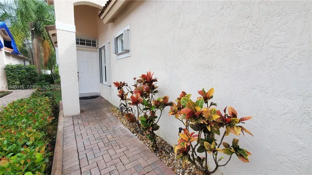 a view of a bunch of flowers