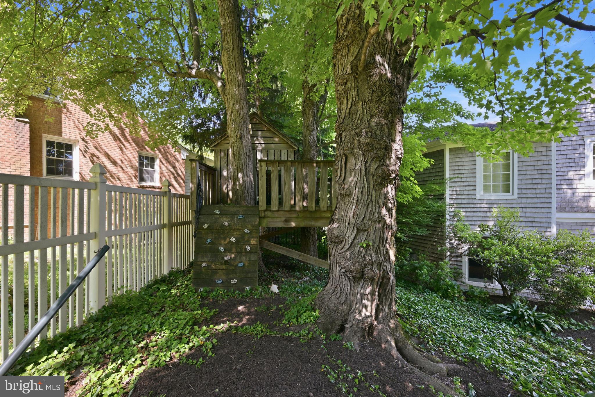 2800 Greenvale Street Chevy Chase, MD 20815 - Photo 64 of 77 Tree House