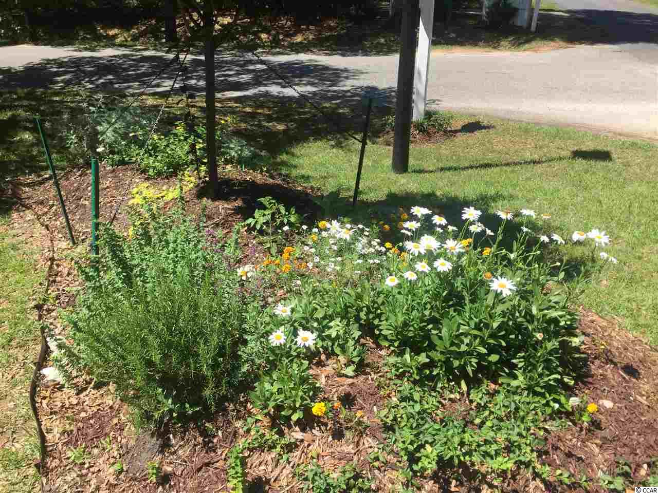 196 Rybolt Road Pawleys Island, SC 29585 - Photo 24 of 24 Gallery Image 24