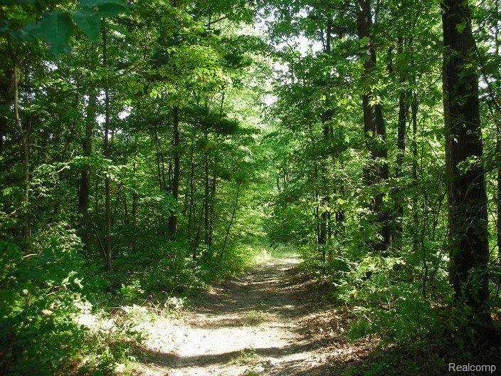 5005 Brigham Road Goodrich, MI 48438 - Photo 18 of 19 Trail thru woods Behind barns