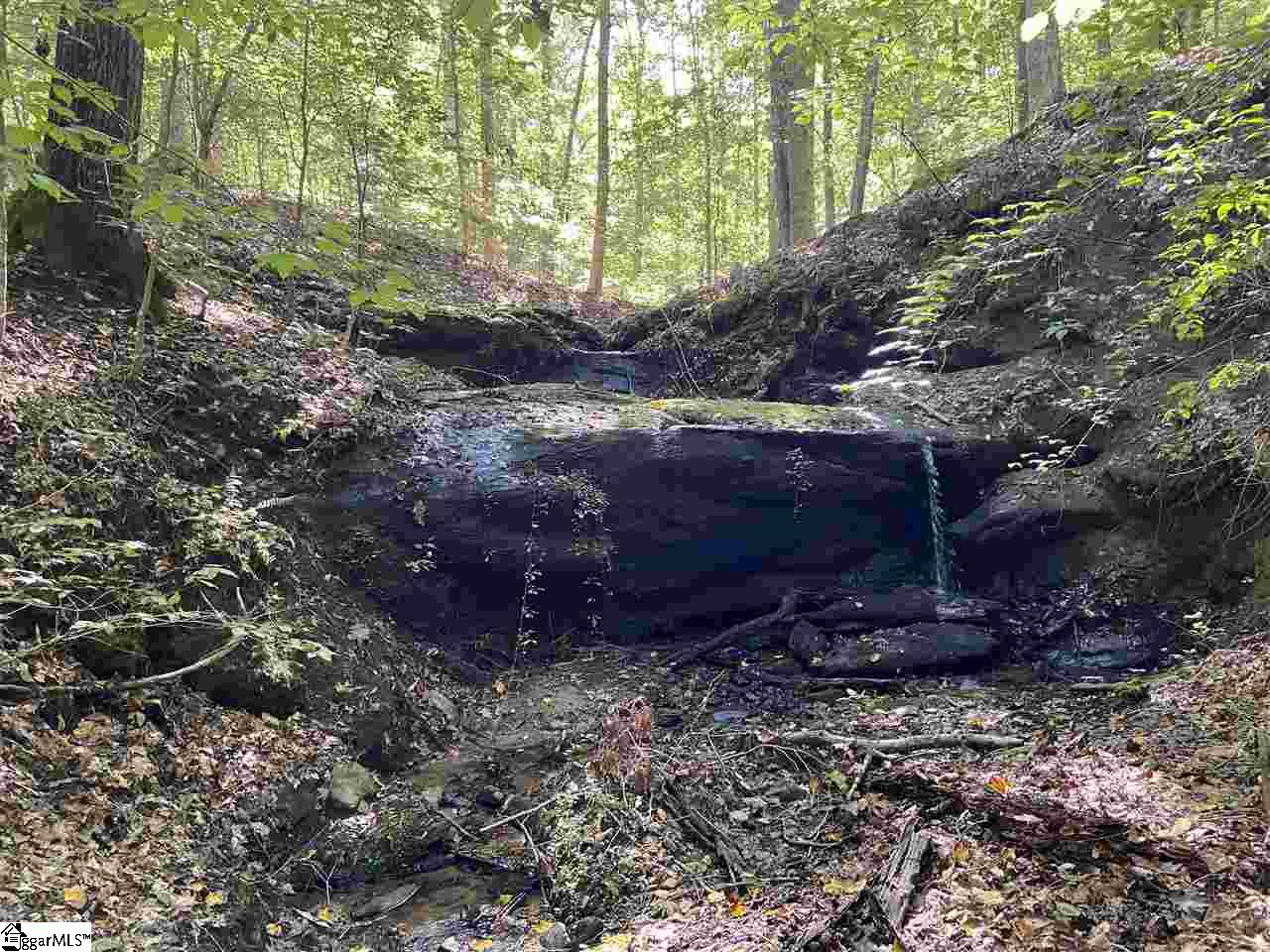 Goldmine Road Spartanburg, SC 29302 - Photo 11 of 19 Gallery Image 11