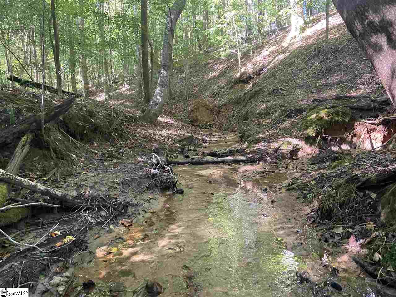 Goldmine Road Spartanburg, SC 29302 - Photo 3 of 19 Gallery Image 3