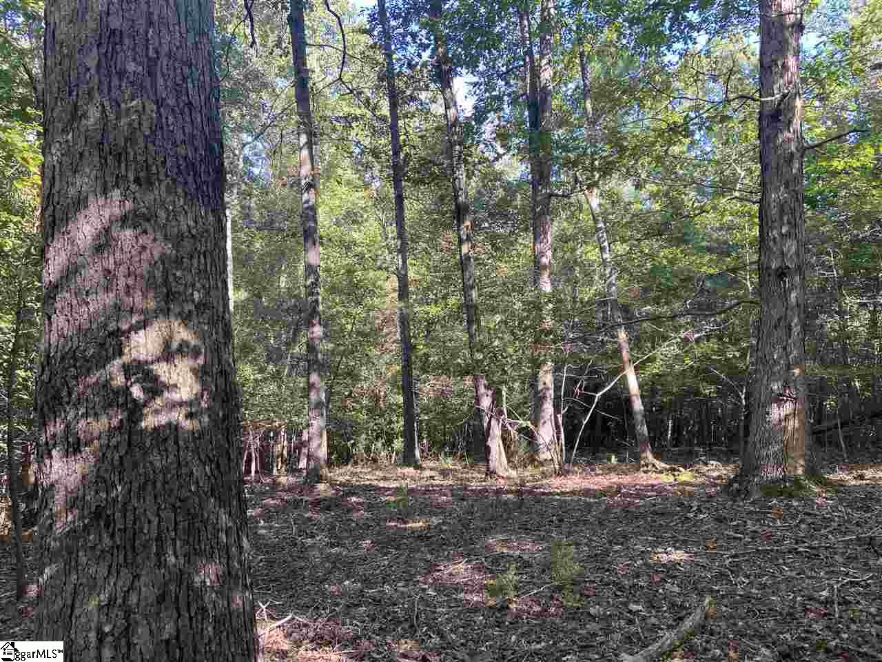 Goldmine Road Spartanburg, SC 29302 - Photo 4 of 19 Gallery Image 4