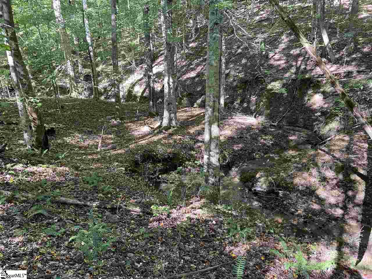 Goldmine Road Spartanburg, SC 29302 - Photo 6 of 19 Gallery Image 6