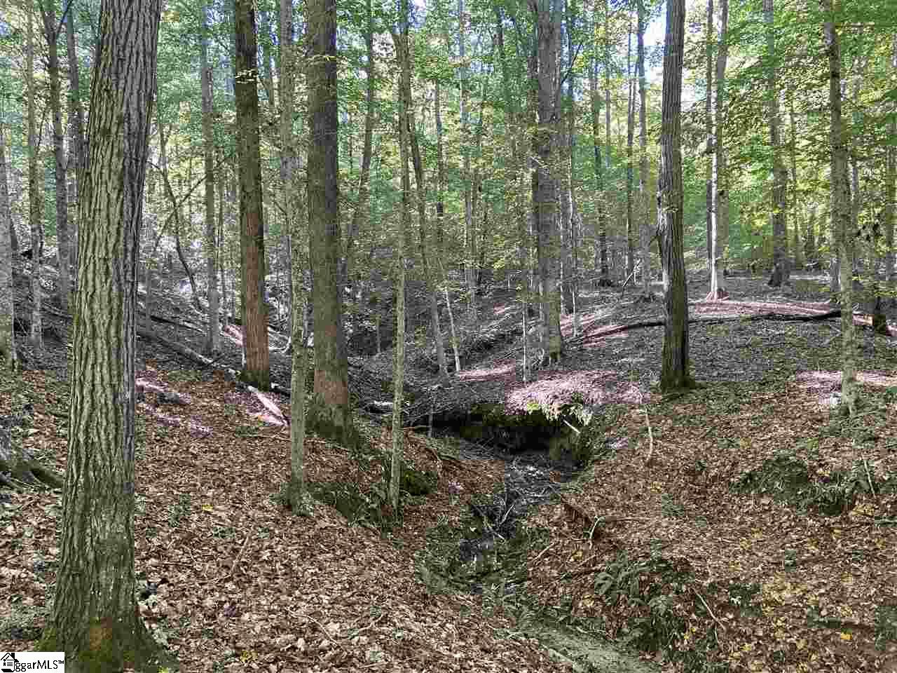 Goldmine Road Spartanburg, SC 29302 - Photo 7 of 19 Gallery Image 7