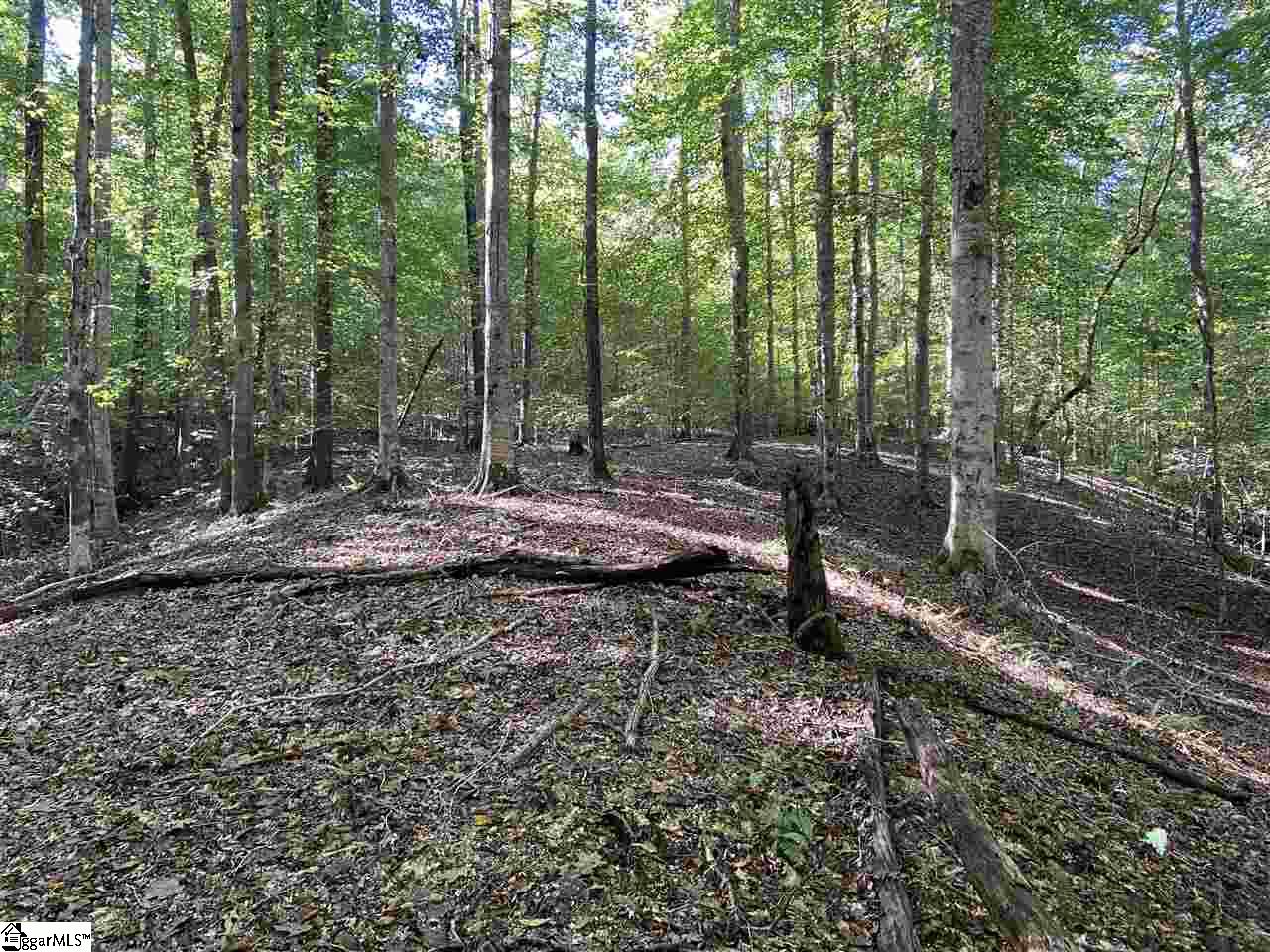 Goldmine Road Spartanburg, SC 29302 - Photo 8 of 19 Gallery Image 8