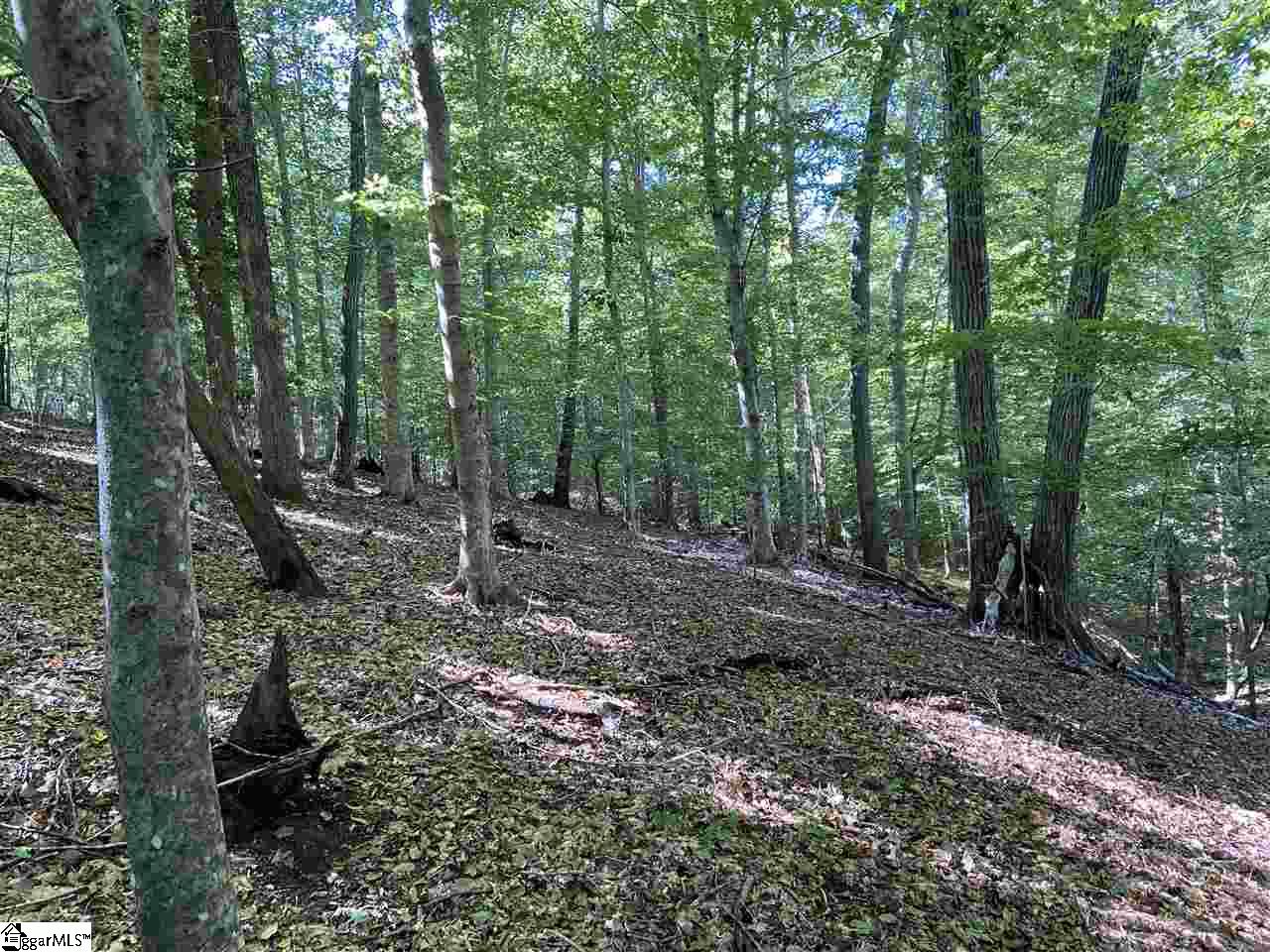 Goldmine Road Spartanburg, SC 29302 - Photo 10 of 19 Gallery Image 10