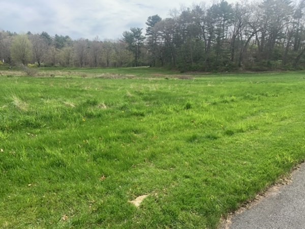 600 Springs Road Bedford, MA 01730 - Photo 37 of 38 a view of a outdoor space