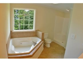 127 Gray Road Jonesborough, TN 37659 - Photo 14 of 24 Master Bath
