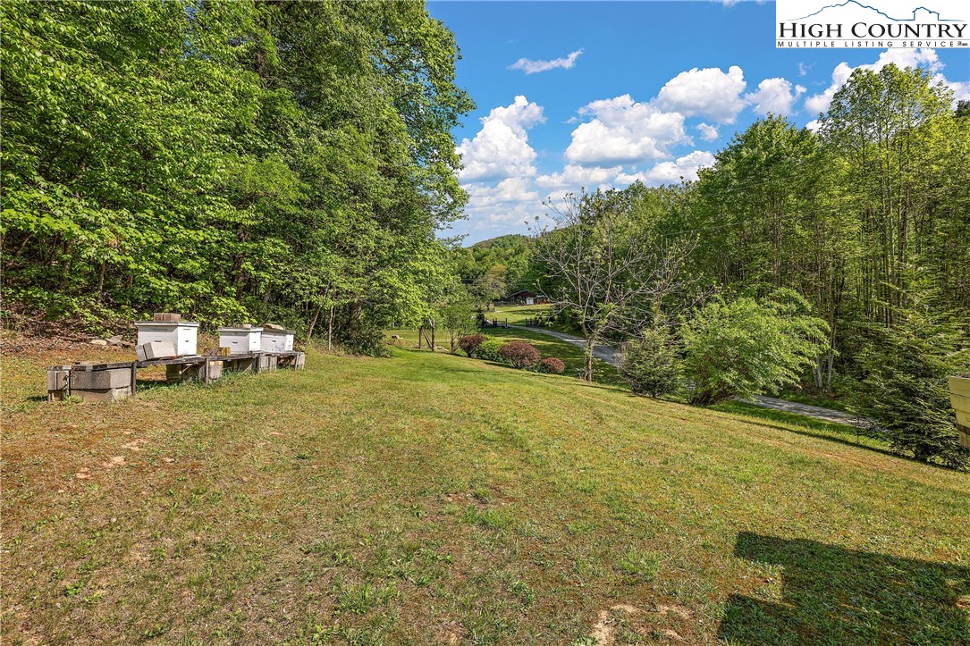 787 Lawrence Greene Road Deep Gap, NC 28618 - Photo 37 of 45 a garden view