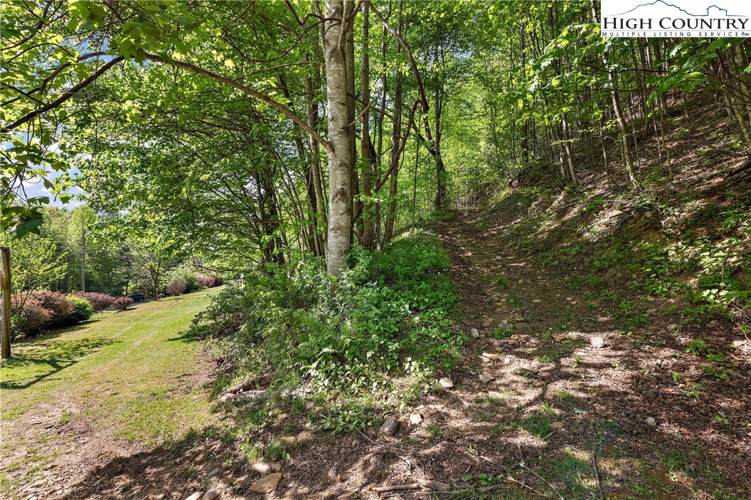 787 Lawrence Greene Road Deep Gap, NC 28618 - Photo 39 of 45 a view of a lush green forest
