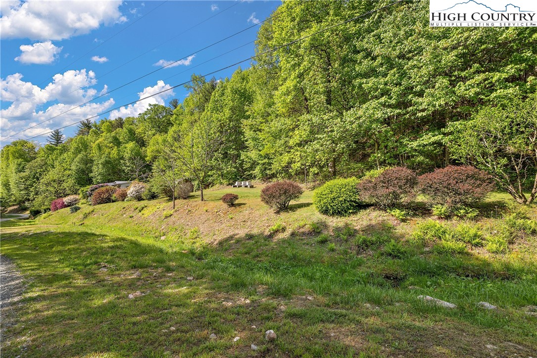 787 Lawrence Greene Road Deep Gap, NC 28618 - Photo 41 of 45 a view of a green yard