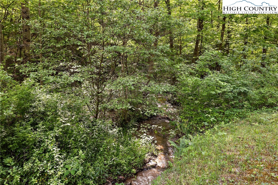 787 Lawrence Greene Road Deep Gap, NC 28618 - Photo 42 of 45 a view of a large yard with lots of green space