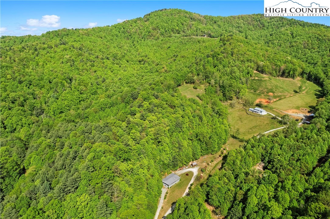 787 Lawrence Greene Road Deep Gap, NC 28618 - Photo 43 of 45 a view of a big yard with lots of green space