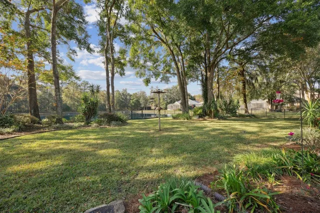 a view of a park with large trees