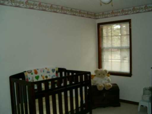 24 Tyler Road Deville, LA 71328 - Photo 7 of 9