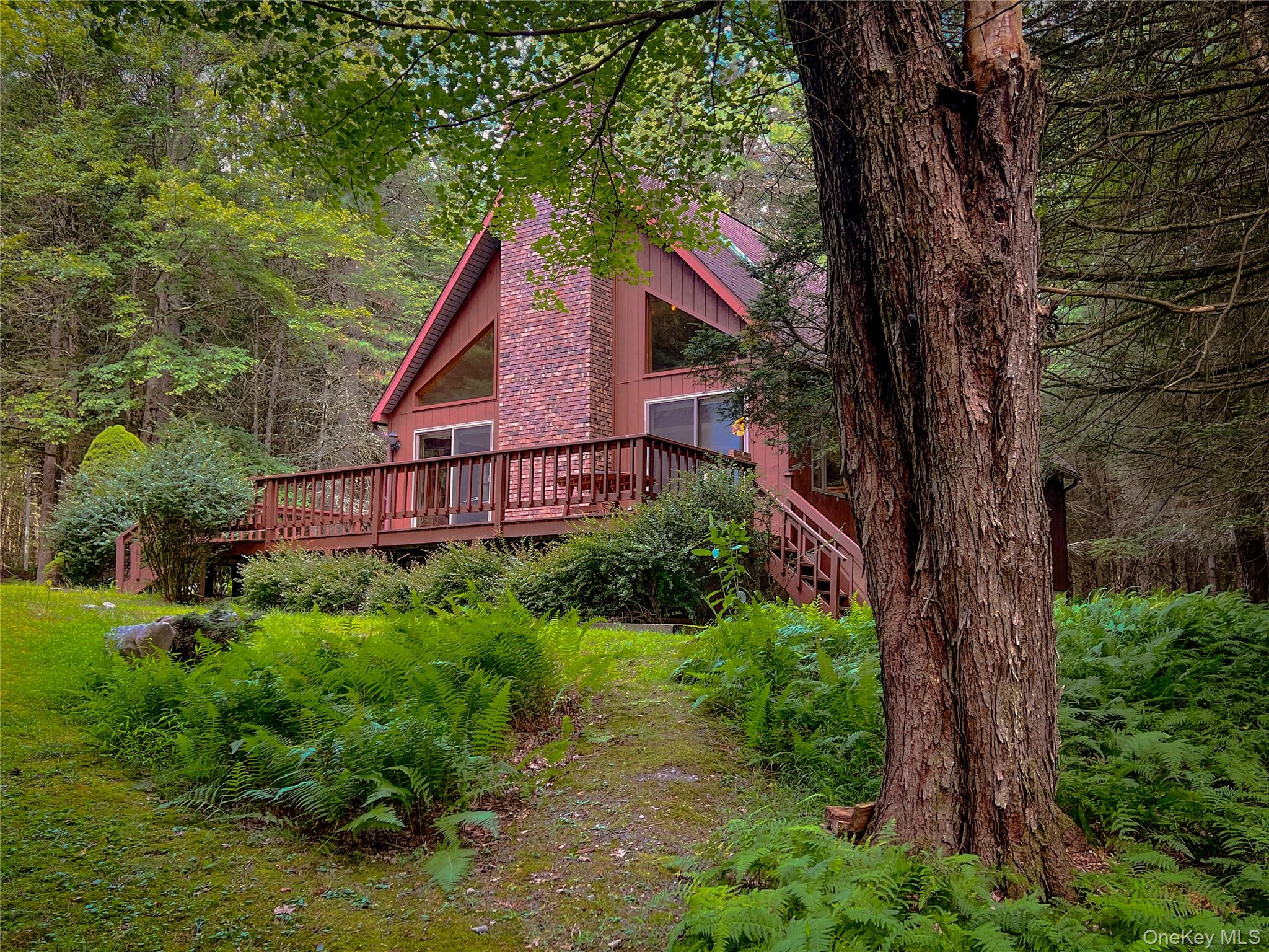 a view of a house with a small yard plants and large trees