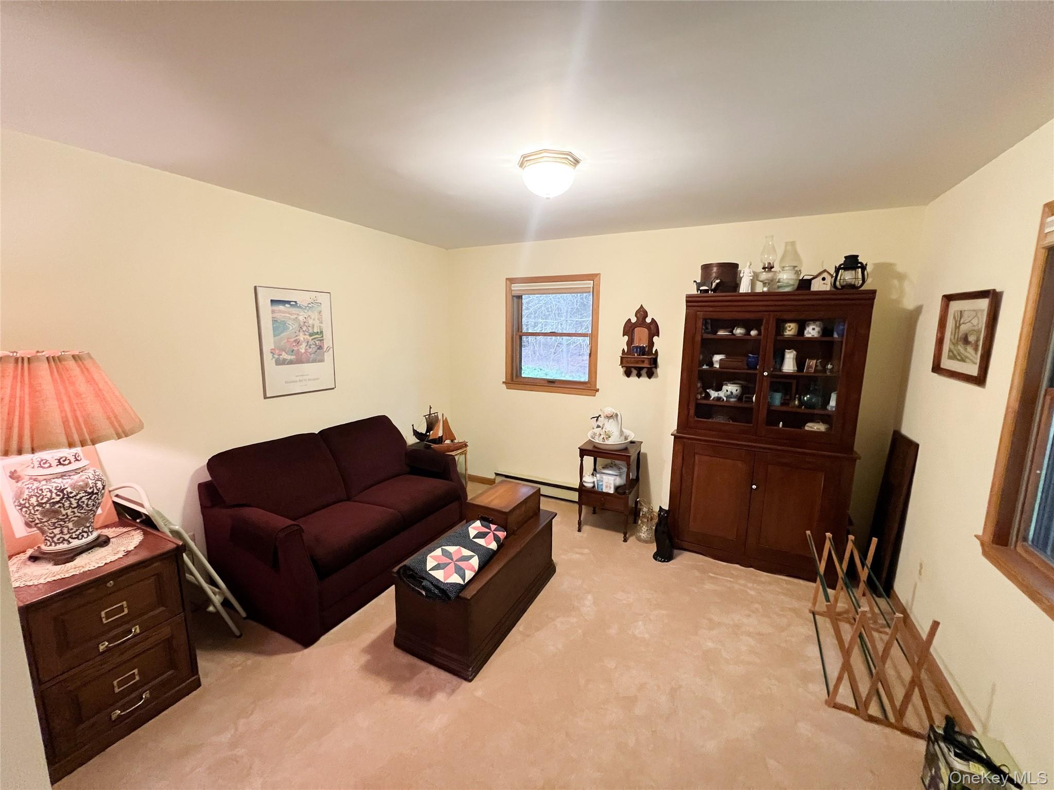 72 Black Lake Road Bethel, NY 12786 - Photo 15 of 22 a living room with furniture and a flat screen tv