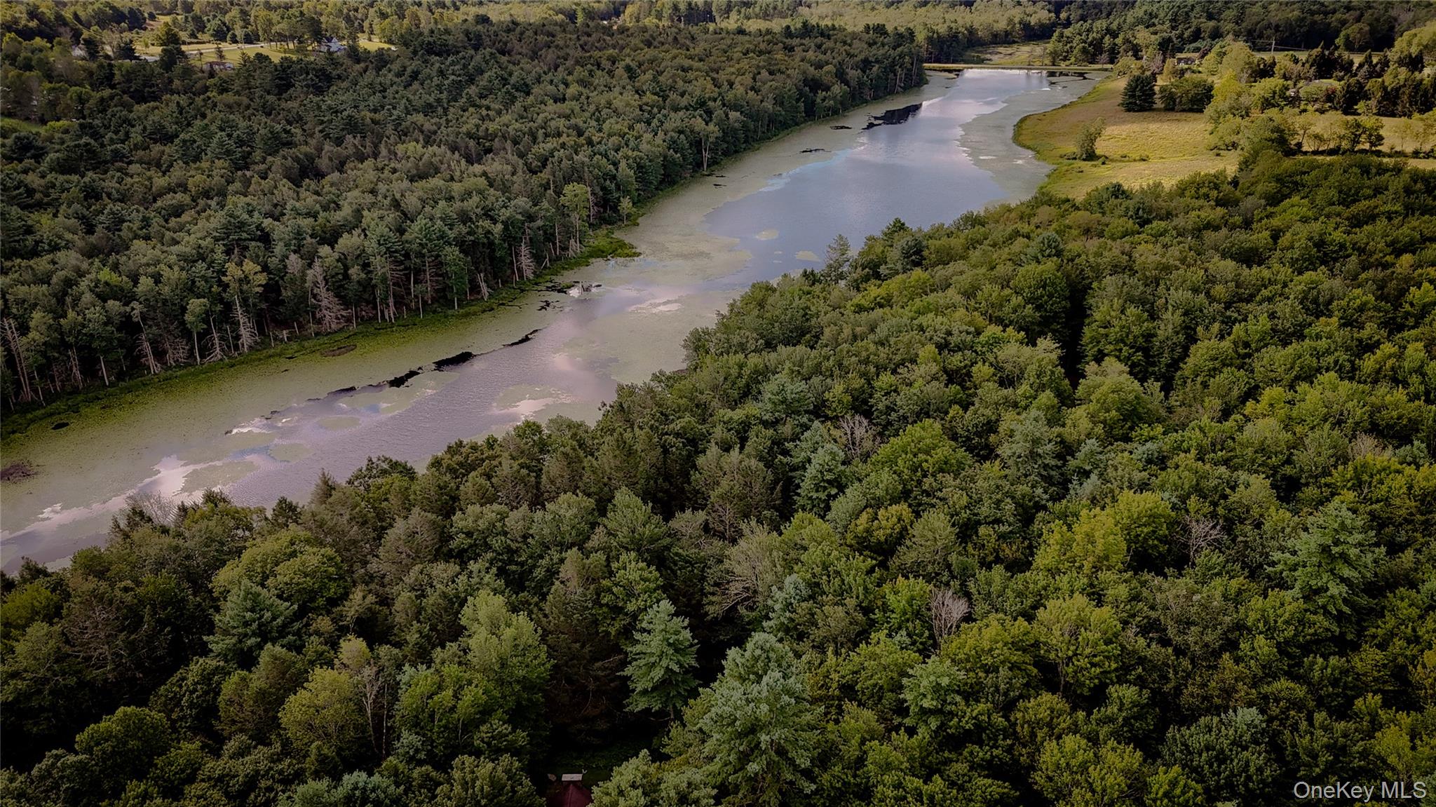72 Black Lake Road Bethel, NY 12786 - Photo 3 of 22 an aerial view of a houses with yard