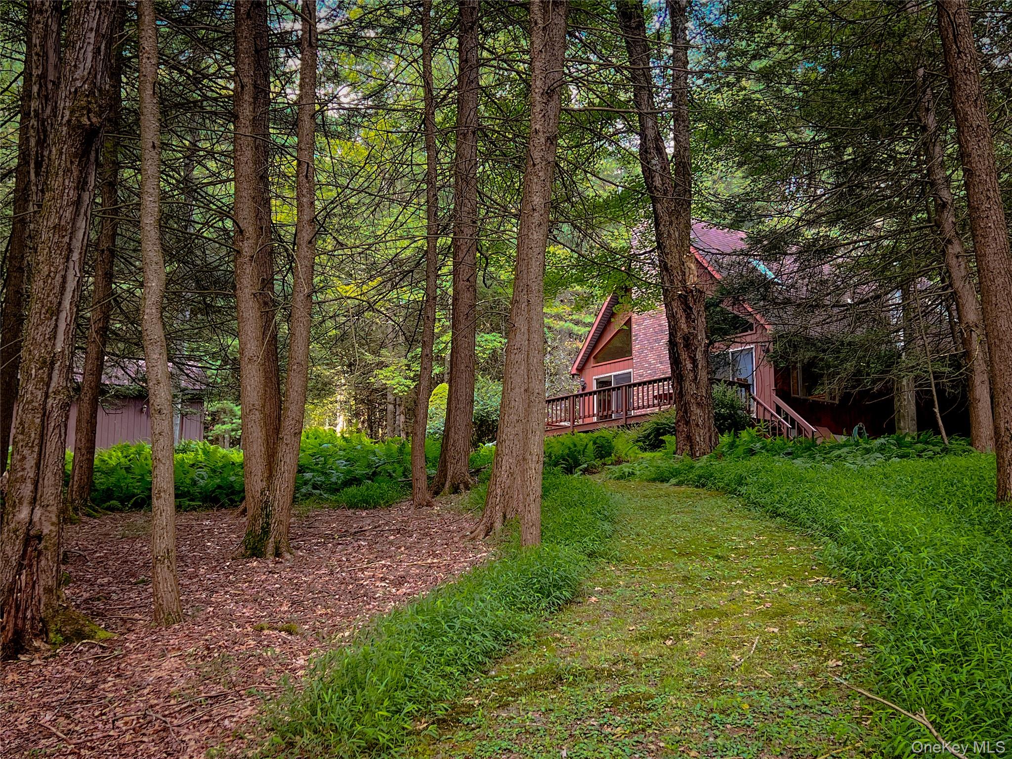 72 Black Lake Road Bethel, NY 12786 - Photo 7 of 22 a backyard of a house with plants and large trees