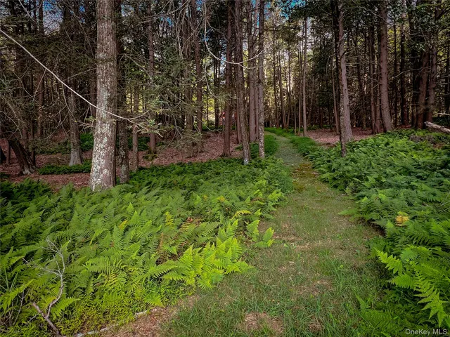 a view of backyard with tree