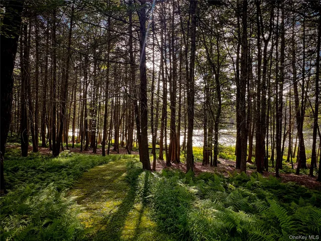 a view of outdoor space with garden