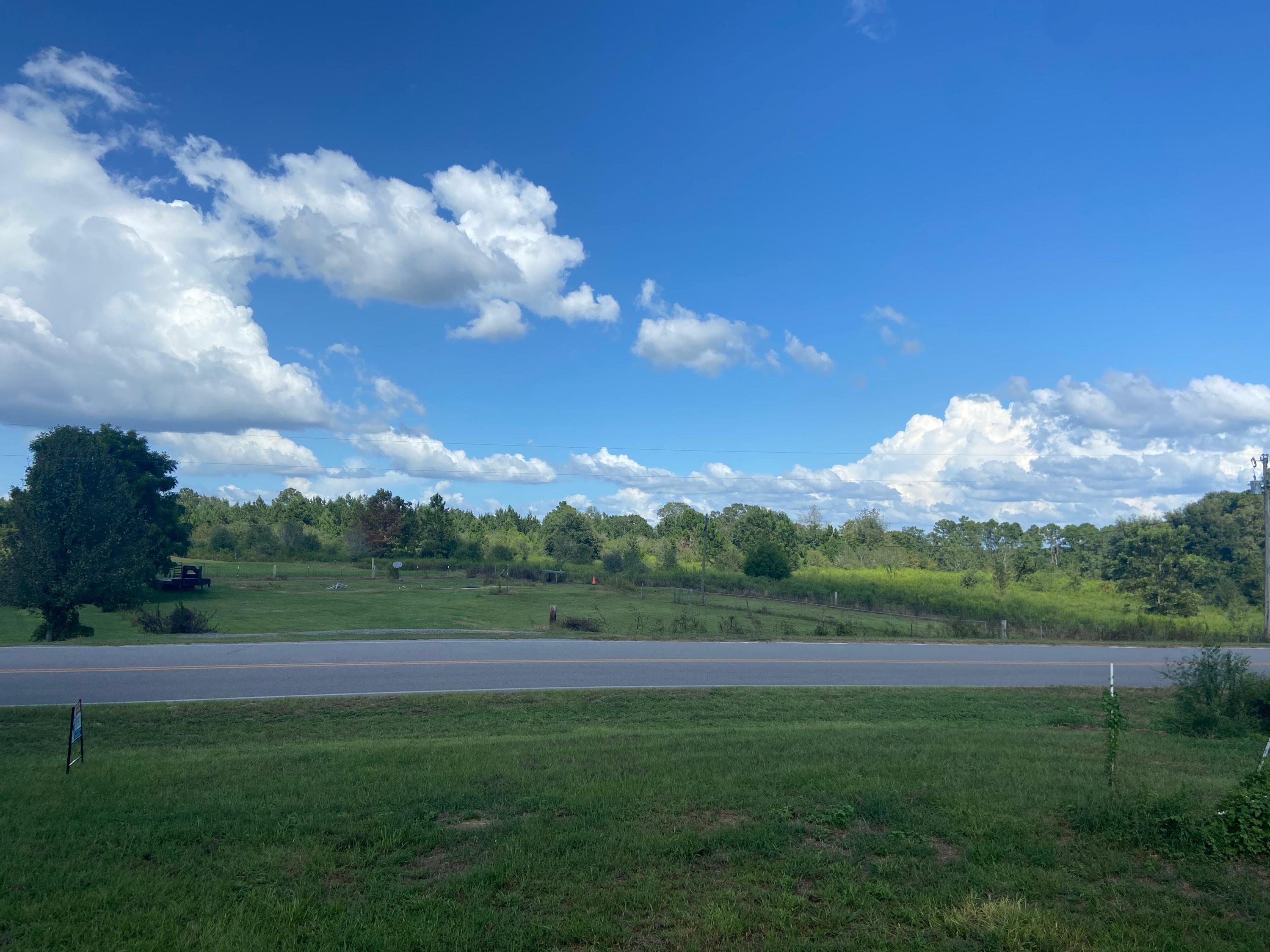 319 Punch Bowl Road DeFuniak Springs, FL 32433 - Photo 4 of 34 Gallery Image 4