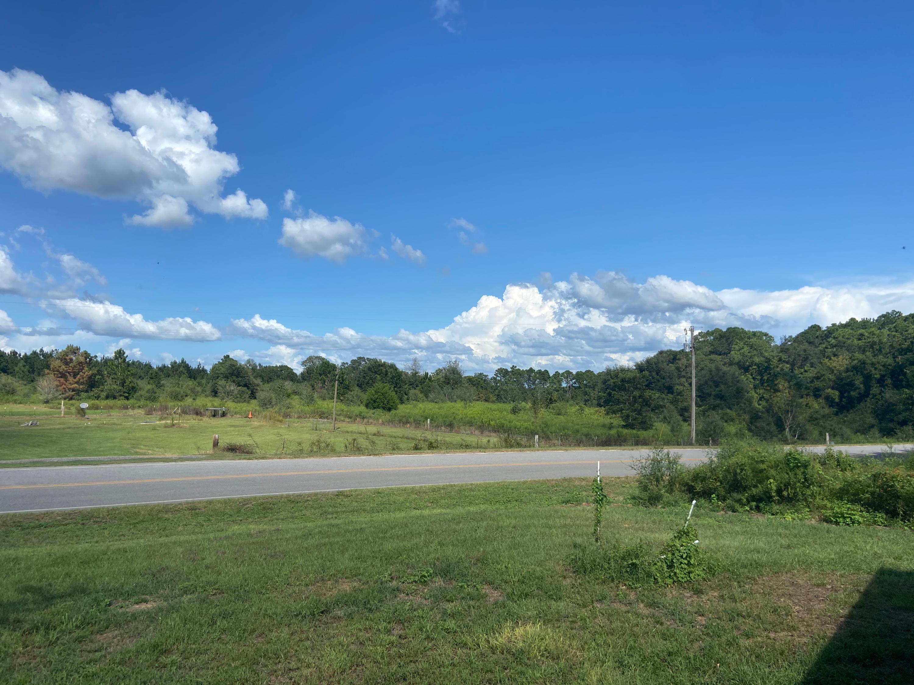 319 Punch Bowl Road DeFuniak Springs, FL 32433 - Photo 6 of 34 Gallery Image 6