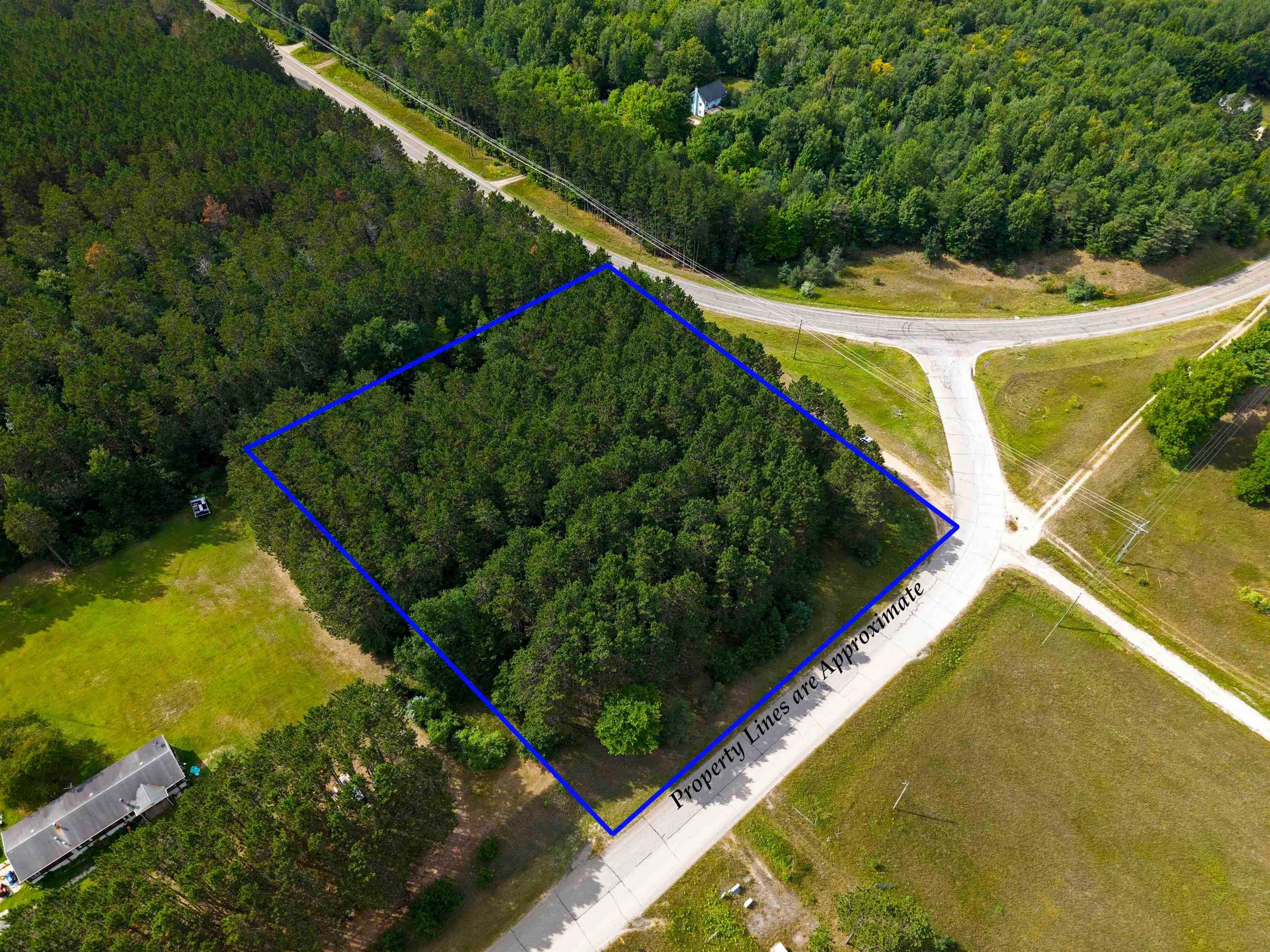 0 Northwest Dundas Road Alden, MI 49612 - Photo 5 of 21 Gallery Image 5