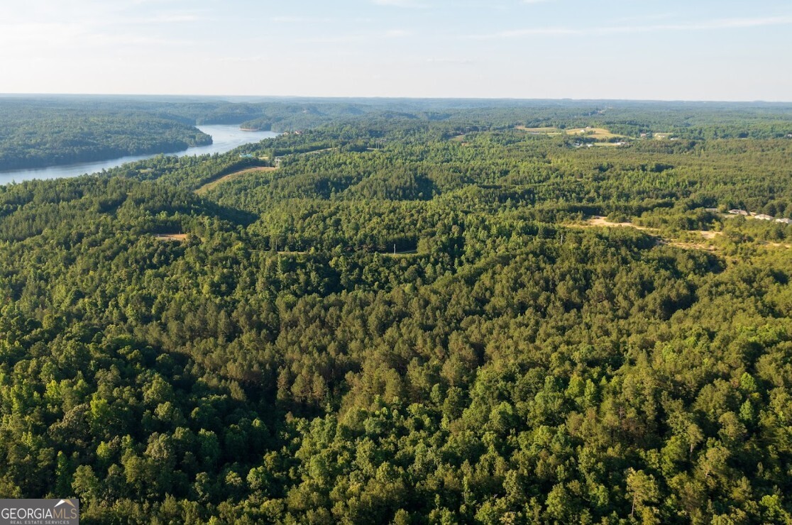 0 Gilmore Mine Road, Unit TRACT A/B Cottondale, AL 35453 - Photo 14 of 18