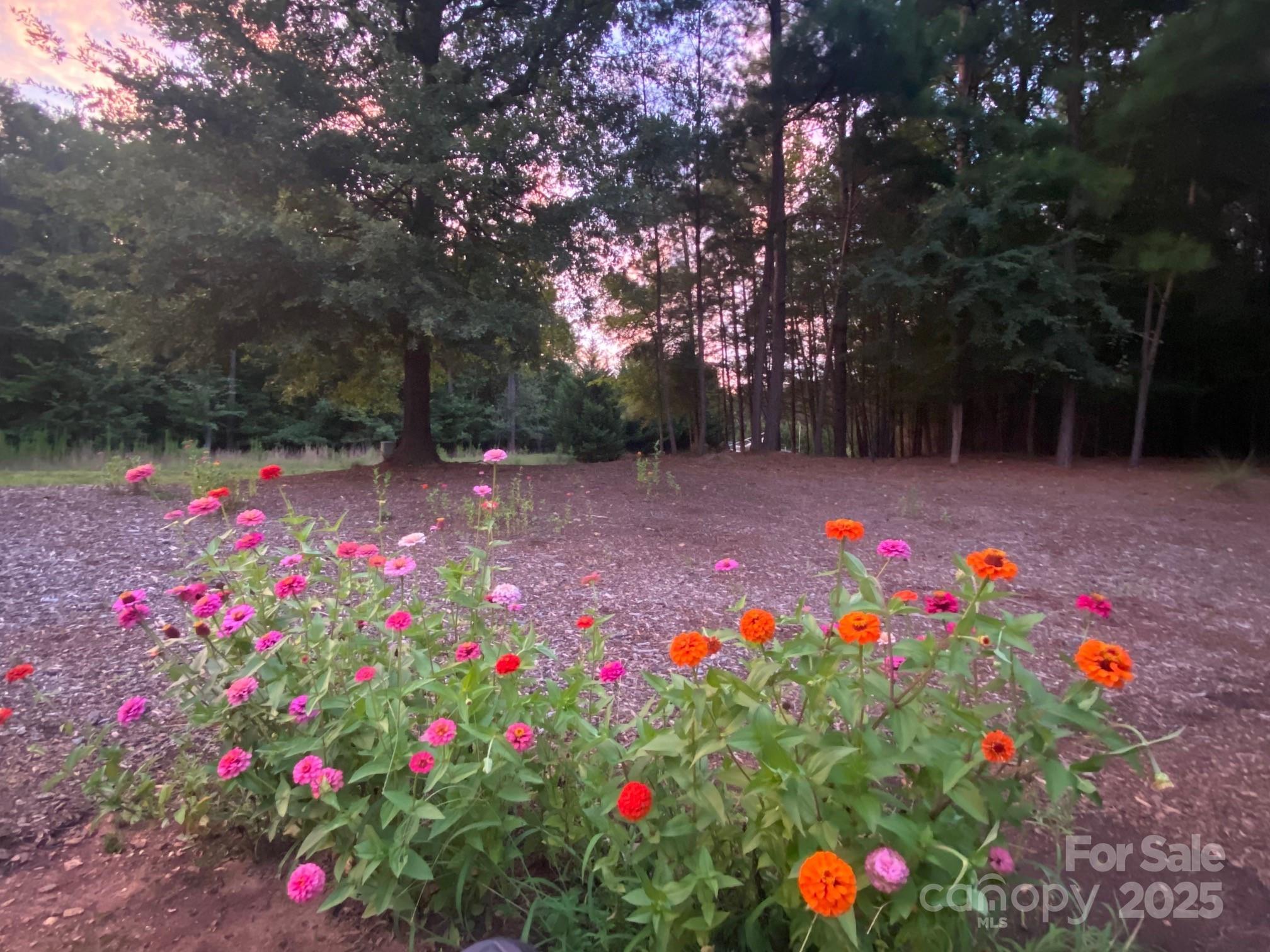 359 Magness Road Shelby, NC 28150 - Photo 18 of 22 Gallery Image 18