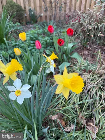 $719,000 | 1611 Noyes Drive, Silver Spring, MD 20910