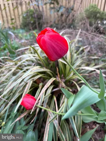 $719,000 | 1611 Noyes Drive, Silver Spring, MD 20910