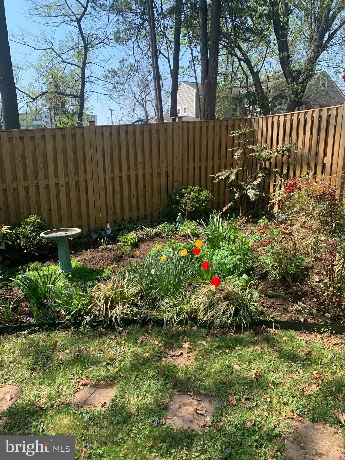 1611 Noyes Drive Silver Spring, MD 20910 - Photo 38 of 47 a backyard of a house with a garden and plants