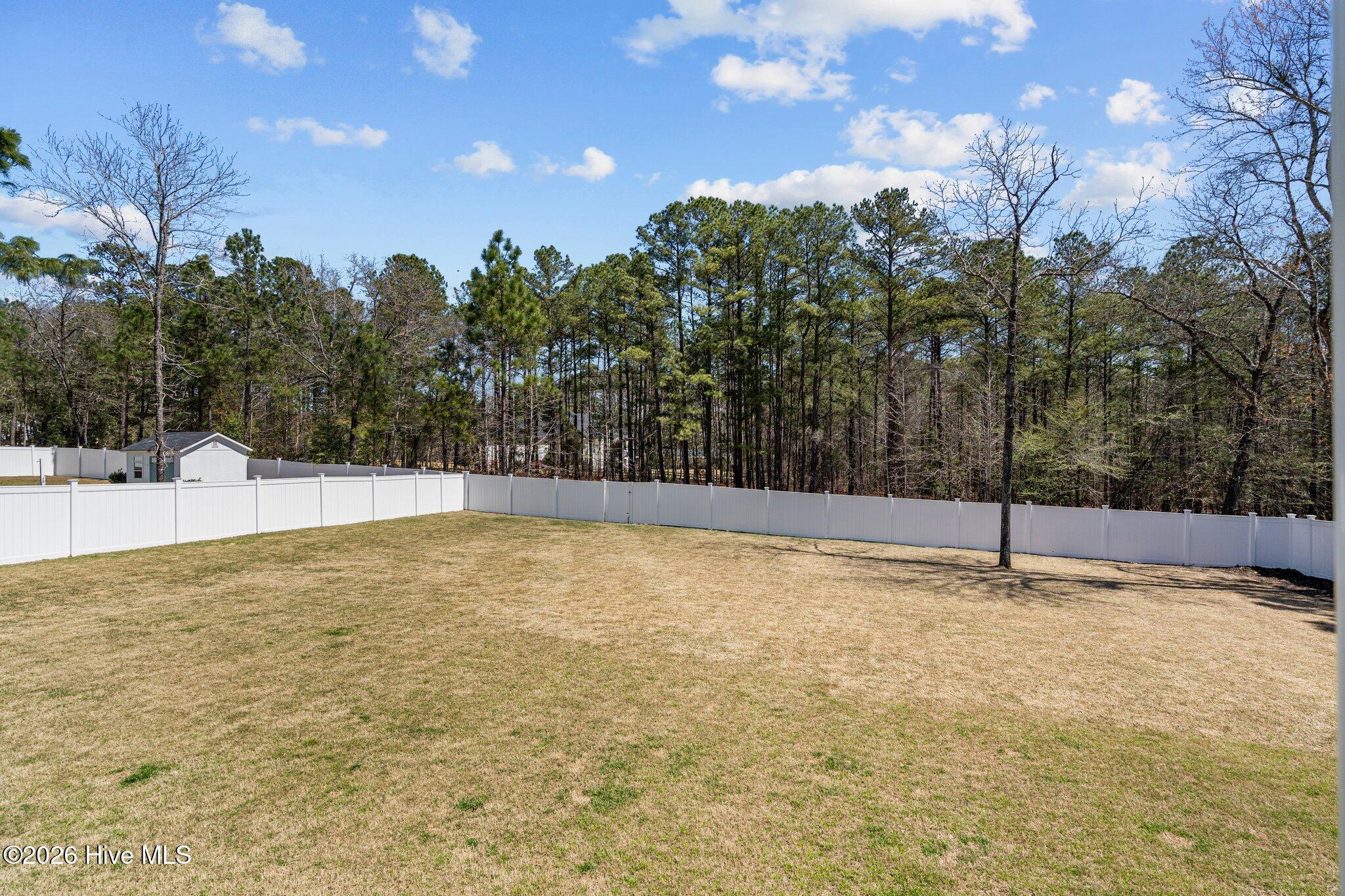 109 Country Ridge Lane Carthage, NC 28327 - Photo 51 of 70 51-web-or-mls-DSC04687