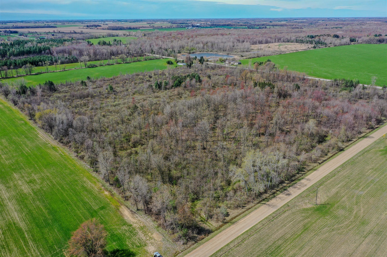 Lot B Ubly Road Snover, MI 48472 - Photo 2 of 12