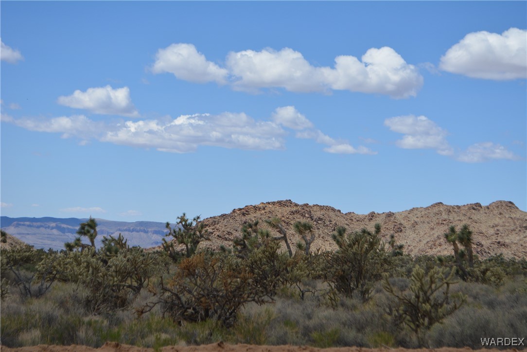 11900 Alan Road Yucca, AZ 86438 - Photo 70 of 99 Gallery Image 70