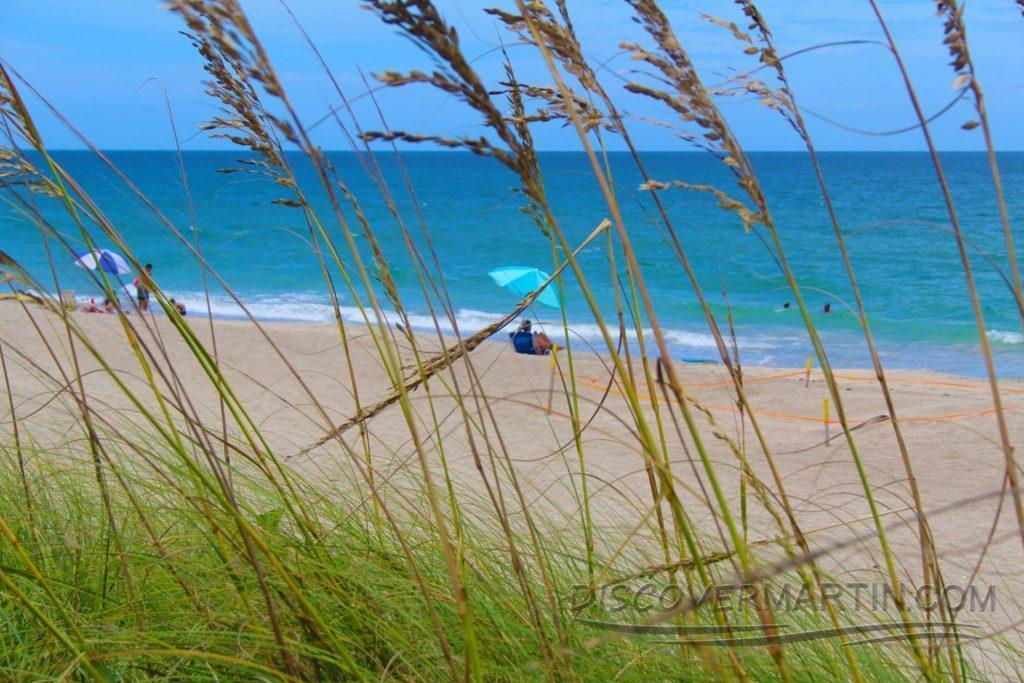 669 Northeast Plantation Road, Unit 308 Jensen Beach, FL 34957 - Photo 34 of 39 stuart-beach-seagrass-1024x683