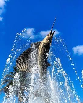 669 Northeast Plantation Road, Unit 308 Jensen Beach, FL 34957 - Photo 36 of 39 Sailfish Capital of the World