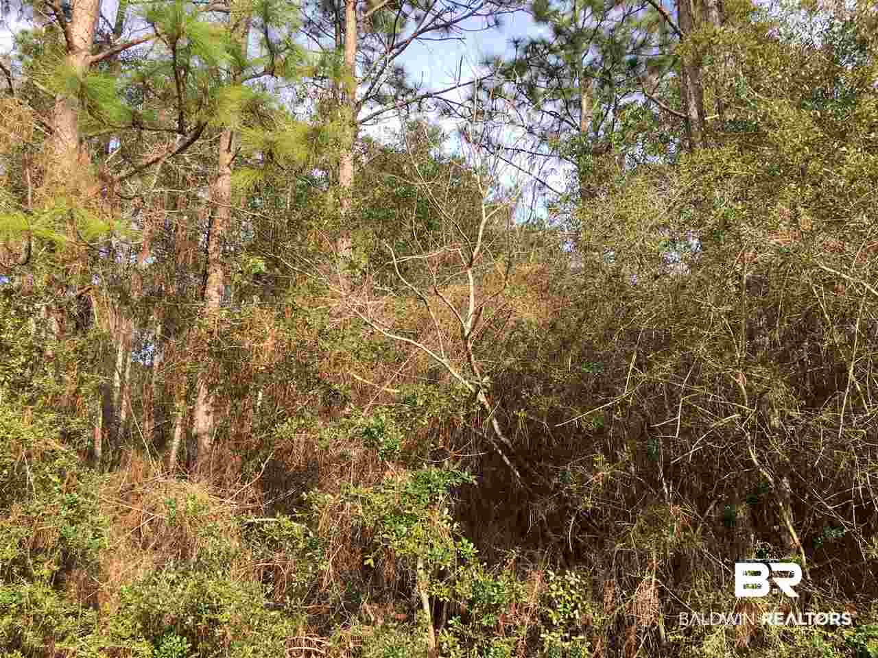 0 East Erin Pond Road Seminole, AL 36574 - Photo 3 of 7